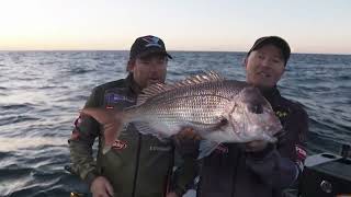 Snapper soft plastics and Sea-Doo Mulloway screenshot 3