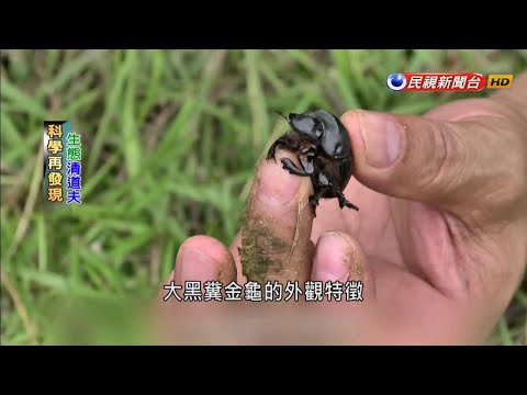 科學再發現－神鬼傳奇出現過！揭開金字塔「聖甲蟲」神秘面紗－民視新聞