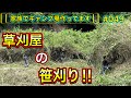 【家族でキャンプ場作ってます】 # 049 プロの草刈り業者が笹刈りの手伝いに来てくれた！