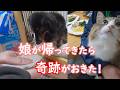 【奇跡】半年ぶりに娘が来たら奇跡がおきました!【保護猫/犬】