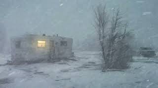 11 Hours Howling Wind & Blowing Snow┇Blizzard Sounds for Sleeping┇Winter Storm Ambience