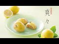 【鼓月】檸檬饅頭 爽々（レモンの和菓子）｜京都こだわりの老舗和菓子店
