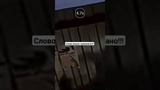 #врекомендации #smartphone #shortsvideo вацок