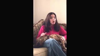 Dr. Julie Buzby, Veterinarian & Founder Of Toegrips For Dogs, Explains How To Use Non-Slip Toegrips.