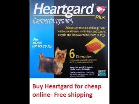 Buy Heartgard Plus For Dogs Online Cheap Without vet - YouTube