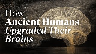 The Ancient Discovery That Created Human Civilization