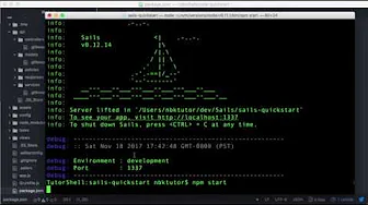 courses/fffa-quick-start-introduction-to-sails-js: Lifting the Sails App