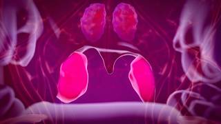 Tonsillectomy And Adenoidectomy Ta