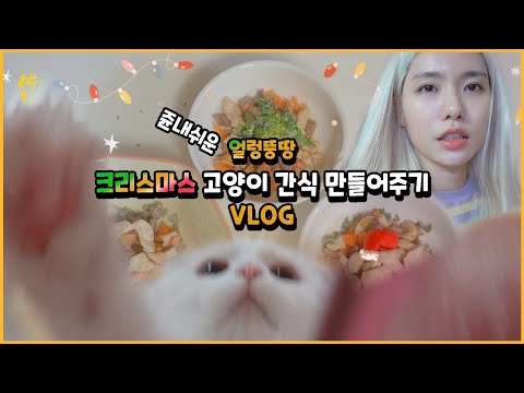 *별거 중 크리스마스에 고양이 간식 만들어주고 반응보기 vlog