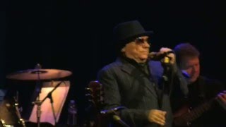 Van Morrison Fox Theater Oakland 1/20/16 Someone Like You