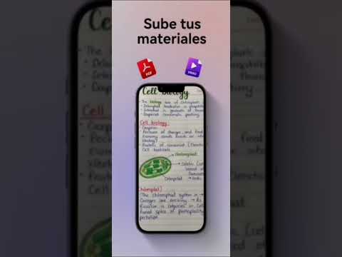 Imagen de la captura de pantalla