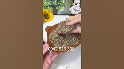 Hương Ngải Cứu Đuổi Muỗi