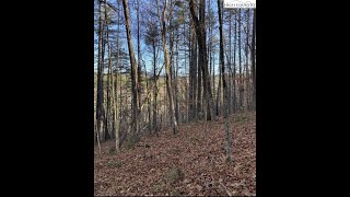 Lots 1 & 2 Toe River Lane for sale in Newland, NC 28657 - Lots And Land
