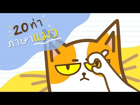 เอ๊ะ! ท่าทางของแมวกำลังบอกอะไรเราอยู่นะ ? (มีเป็นแบบวิดีโอแล้วนะ) | Fuwa Fuwa