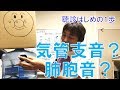 気管支音、肺胞音(Bronchial and Vesicular Sounds)、呼吸音スコアBSI:胸部の聴診(Part.2)