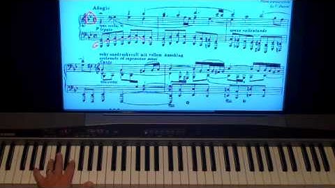 Bach Busoni Piano Sight Reading Lesson Tutorial For shawncheek.com