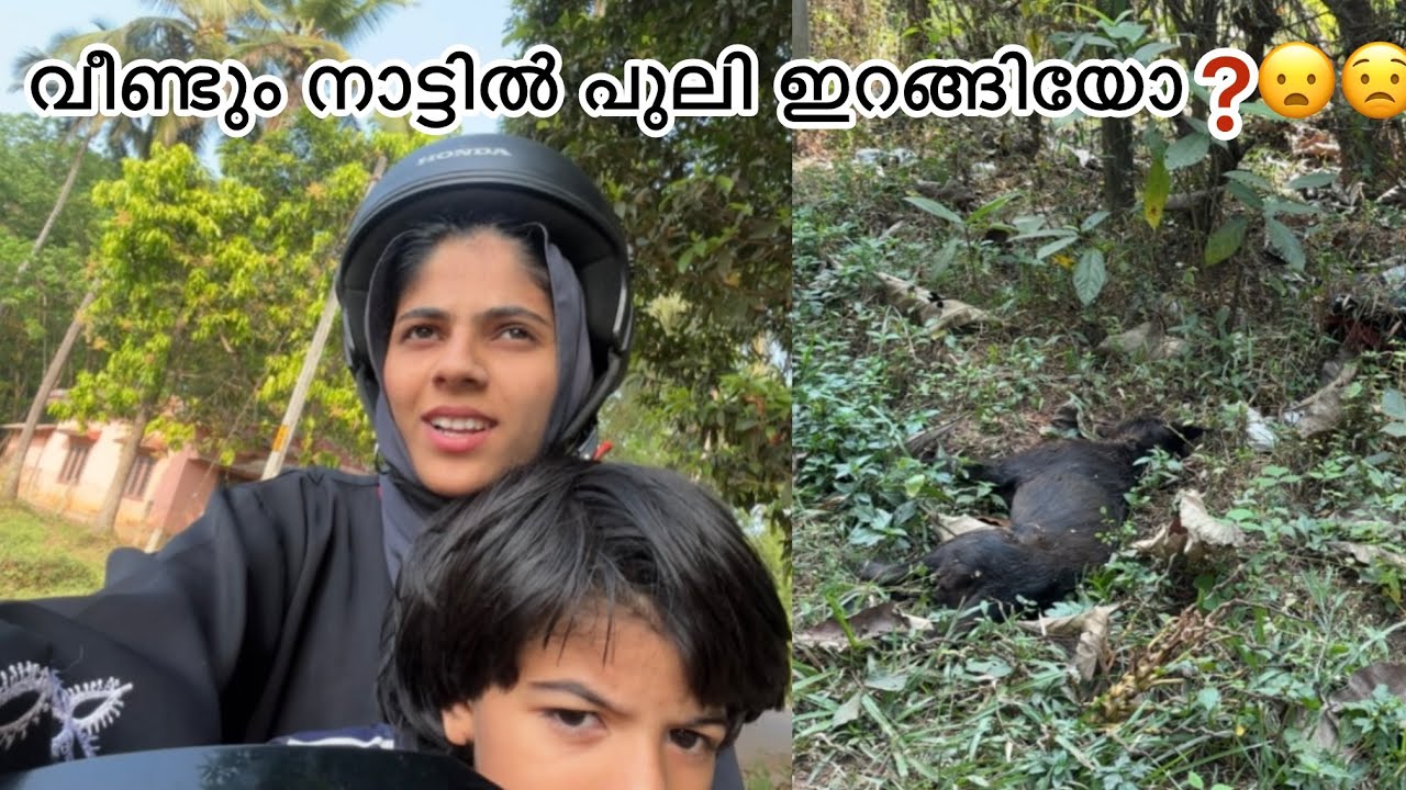ഇതൊക്കെ ആണ് ഇന്നത്തെ അവസ്ഥ 😟#longvideo 