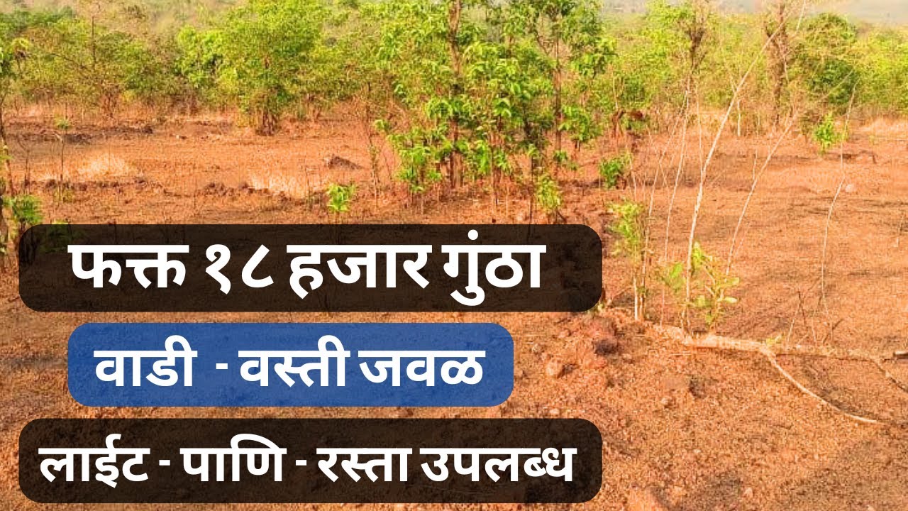 वाडी - वस्ती जवळ | konkan land for sale | स्वस्त प्लॉट कोकण | Swast jamin konkan | swast plots |