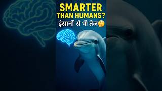 Dolphin इंसानों से भी तेज? 🤯 | 5 Smart Facts About Dolphins | Quick India Shorts #dolphin #facts