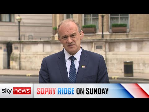 Sir Ed Davey: Westminster behaviour is 'unacceptable'.