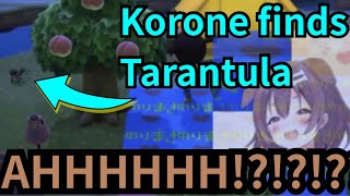 【ENG SUB】Korone finds Tarantula(Animal Crossing)