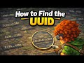How to Find the Player UUID on a Hytale Server