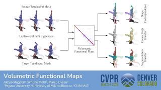 [CVPR 2026] Volumetric Functional Maps