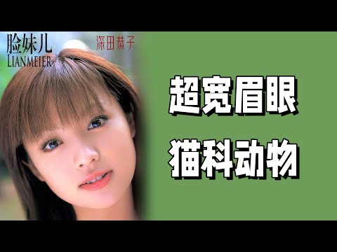 深田恭子：超寬眉眼距滋生出貓科動物的性感