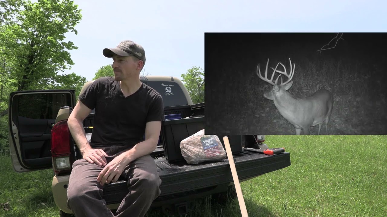Improving daylight deer activity near your stand with waterholes