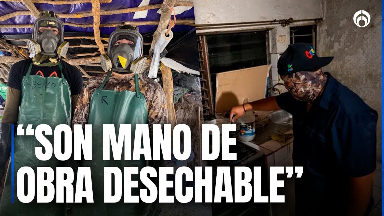 Narcos mexicanos van a Europa como mano de obra, no a controlar: Arthur Debruyne