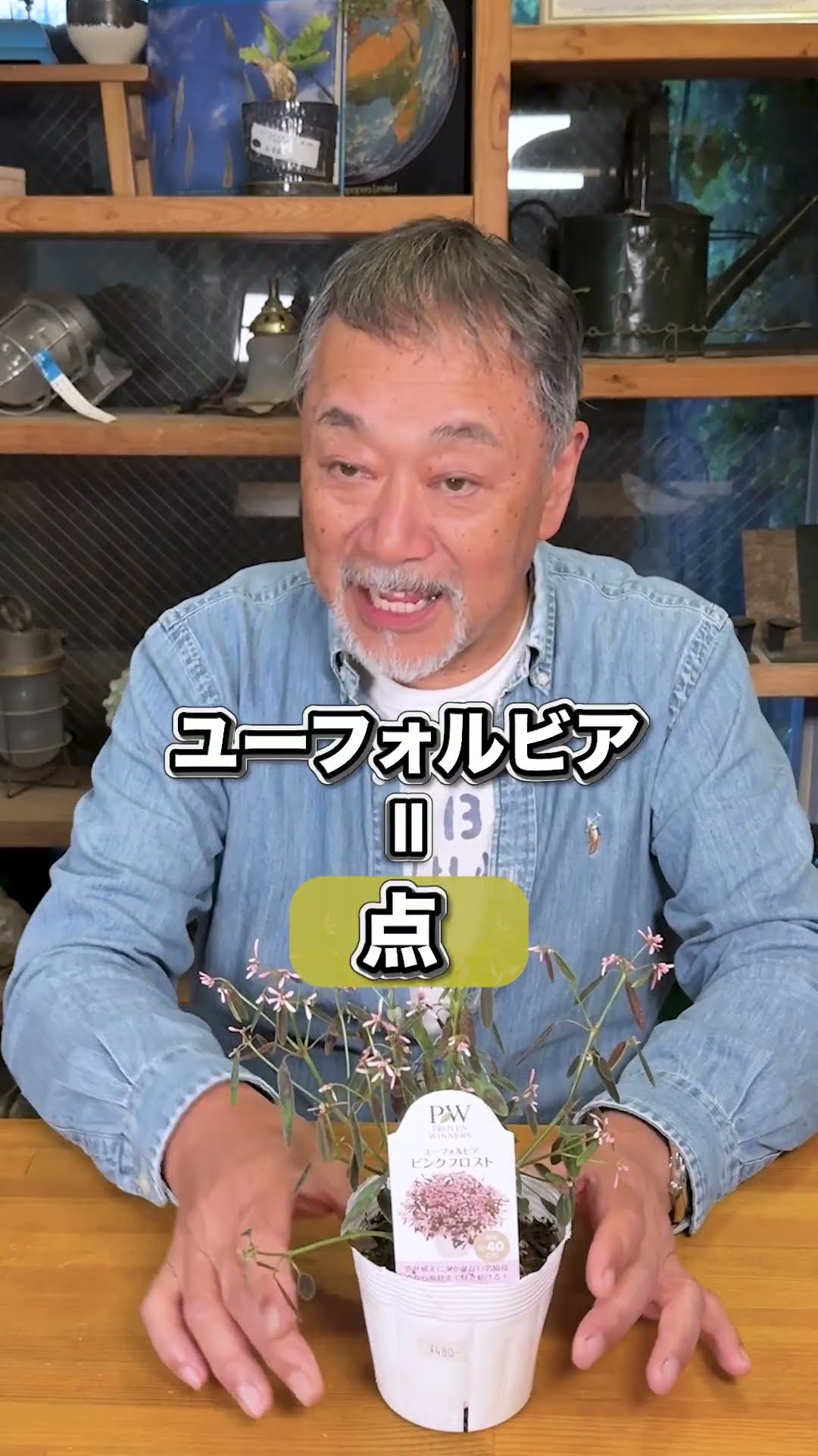 ガーデン ポイント クリア度◎ Points, surfaces, and lines that are perfect for sunny spots!] We