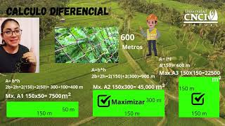 Proyecto Integrador Cálculo Diferencial sem 14