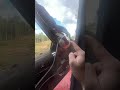 наш тг-канал: https://t.me/realshowles #logging #лесозаготовка