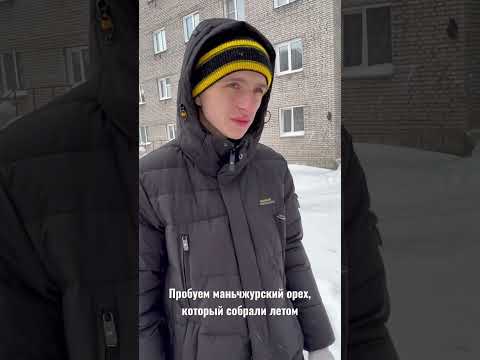 Пробуем маньчжурский орех #рекомендации