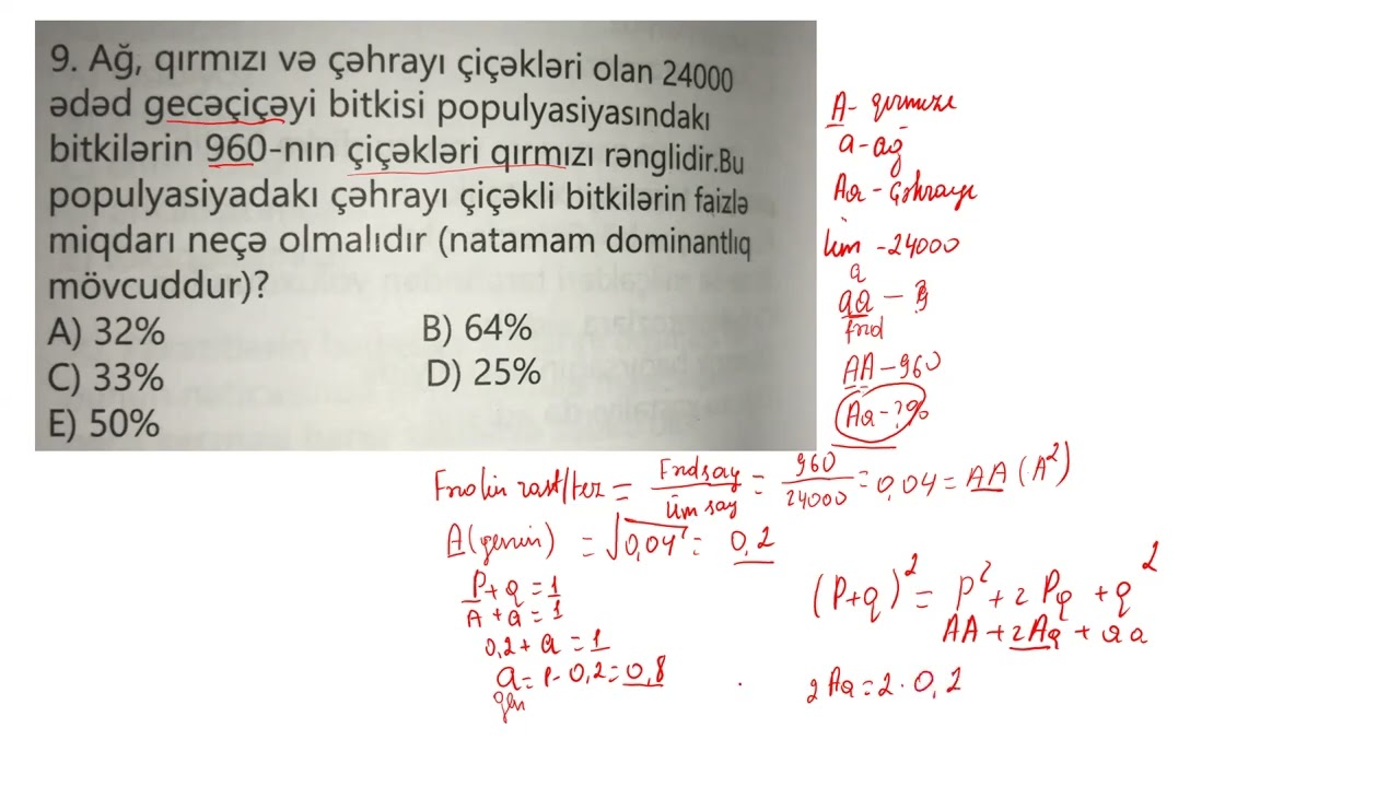 Genetika Hardi Vaynberq qanunu mesele helli #biologiya #genetika #abituriyenthazırlığı