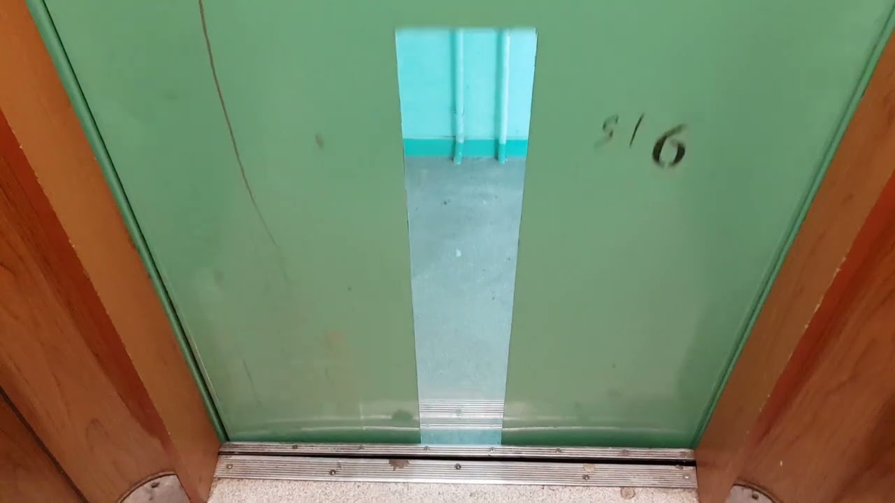 Specjał na 200 subskrypcji ostatnie licencje Teofilowa- 2x oryginalny Zremb osiedlowy Plantowa 13