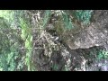 比良山系　元気村登山口　楊梅の滝　雌滝 の動画、YouTube動画。