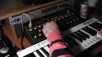Behringer WASP Deluxe analog synth Digitech DSP128+ IK iRigKeysPro Alva Nanoface Superteclados