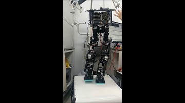 Balance Control using Multiple Joint Torque Control of Biped Walking Robot