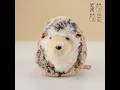 ตุ๊กตา เม่น ดั๊กกลาส 🌸 DOUGLAS : Spunky the Hedgehog Plush