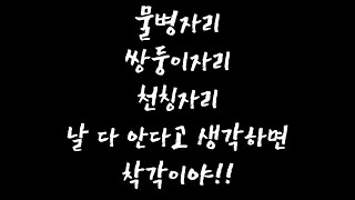 물병자리, 쌍둥이자리, 천칭자리, 날 다 안다고 생각하면 착각이야!!!