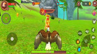 Wild Eagle Family Simulator - Android Gameplay screenshot 4