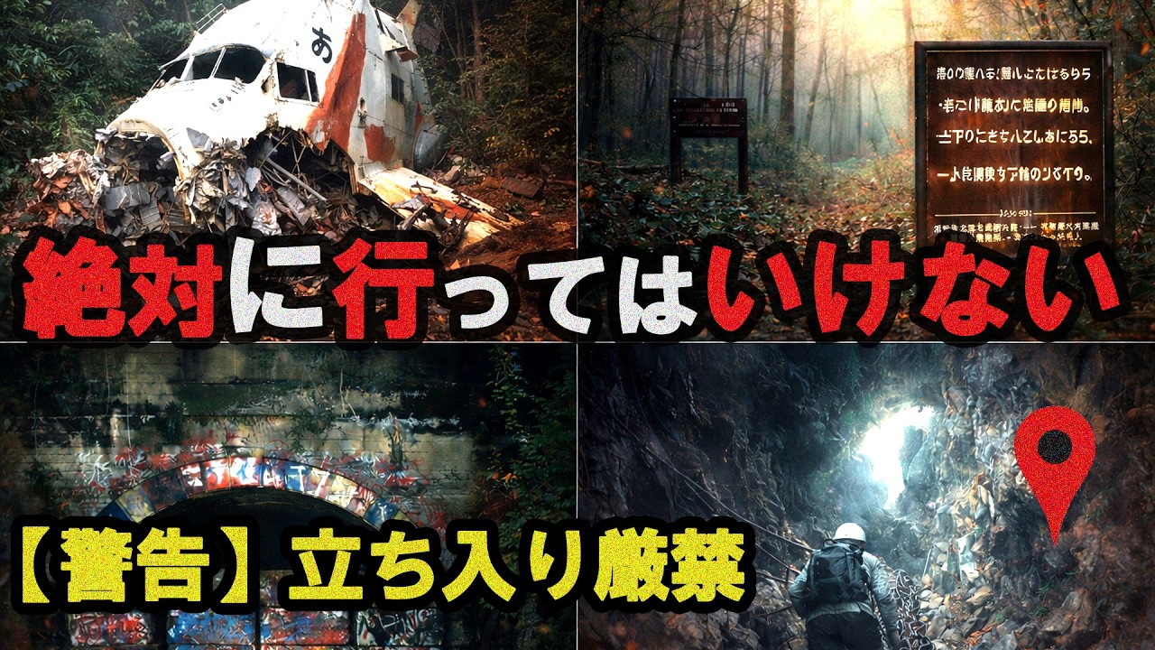 【最恐の座標】日本から消された禁足地 4選「慰霊の森・青木ヶ原・旧犬鳴・八幡の藪知らず」その深淵を覗く
