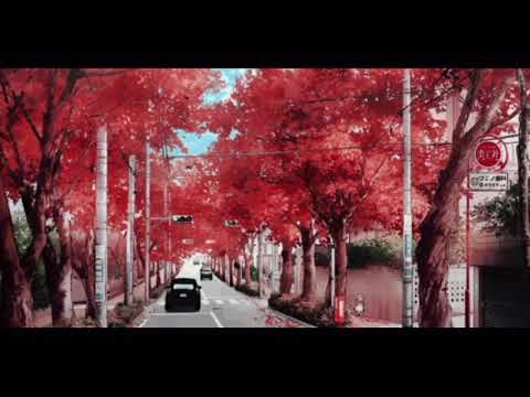 Adam Levine - A Higher Place (slowed + reverb)