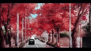 Adam Levine - A Higher Place (slowed   reverb)