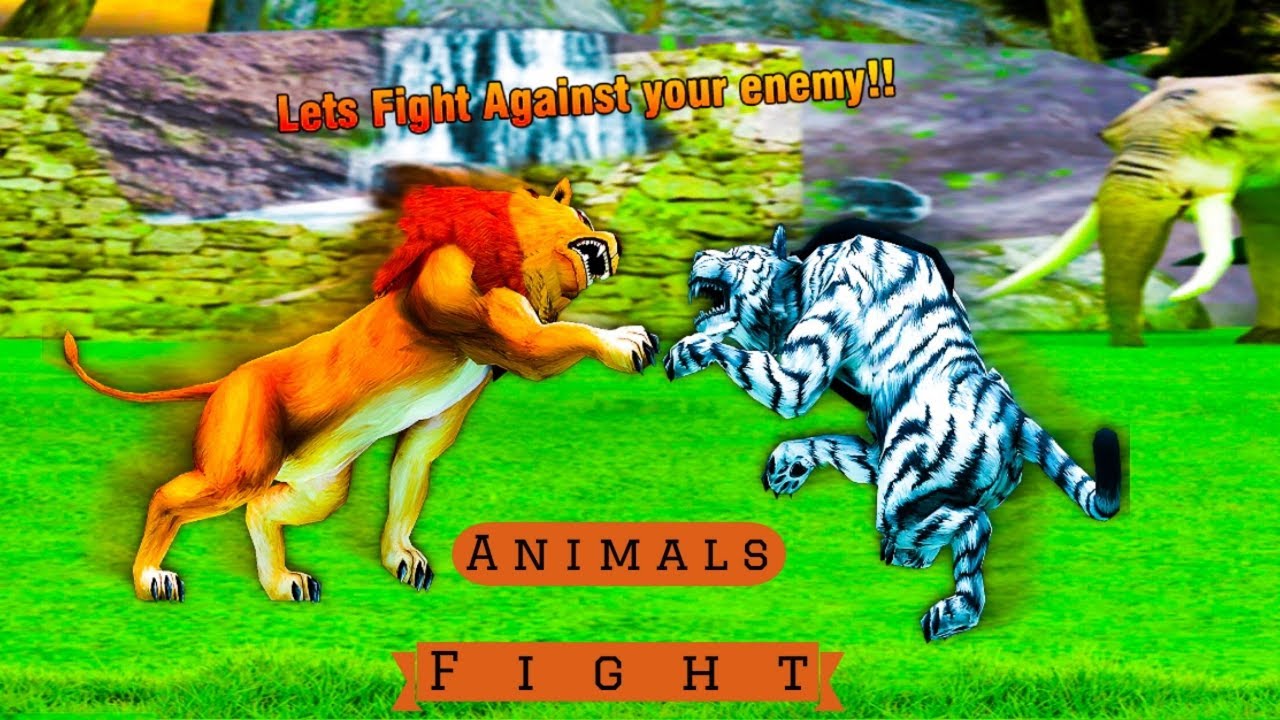 Big Cats Fighting Challenge 2 Lion Vs Tigers By Super Game Youtube Big Cats African Big Cats Catfight [ 720 x 1280 Pixel ]