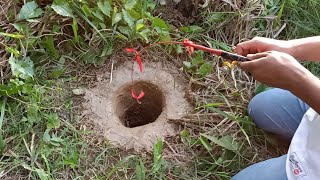 Download lagu TERNYATA SELAMA MUSIM KEMARAU IKAN LELE LEMBAT MEMBUAT SARANG DI SINI TERNYATA SELAMA MUSIM KEMARAU IKAN LELE LEMBAT MEMBUAT SARANG DI SINI