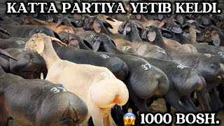 Mamurjon Akaga 1000 Bosh Qochqorlar Keldi Ulgirib Qoling Shoknarx.