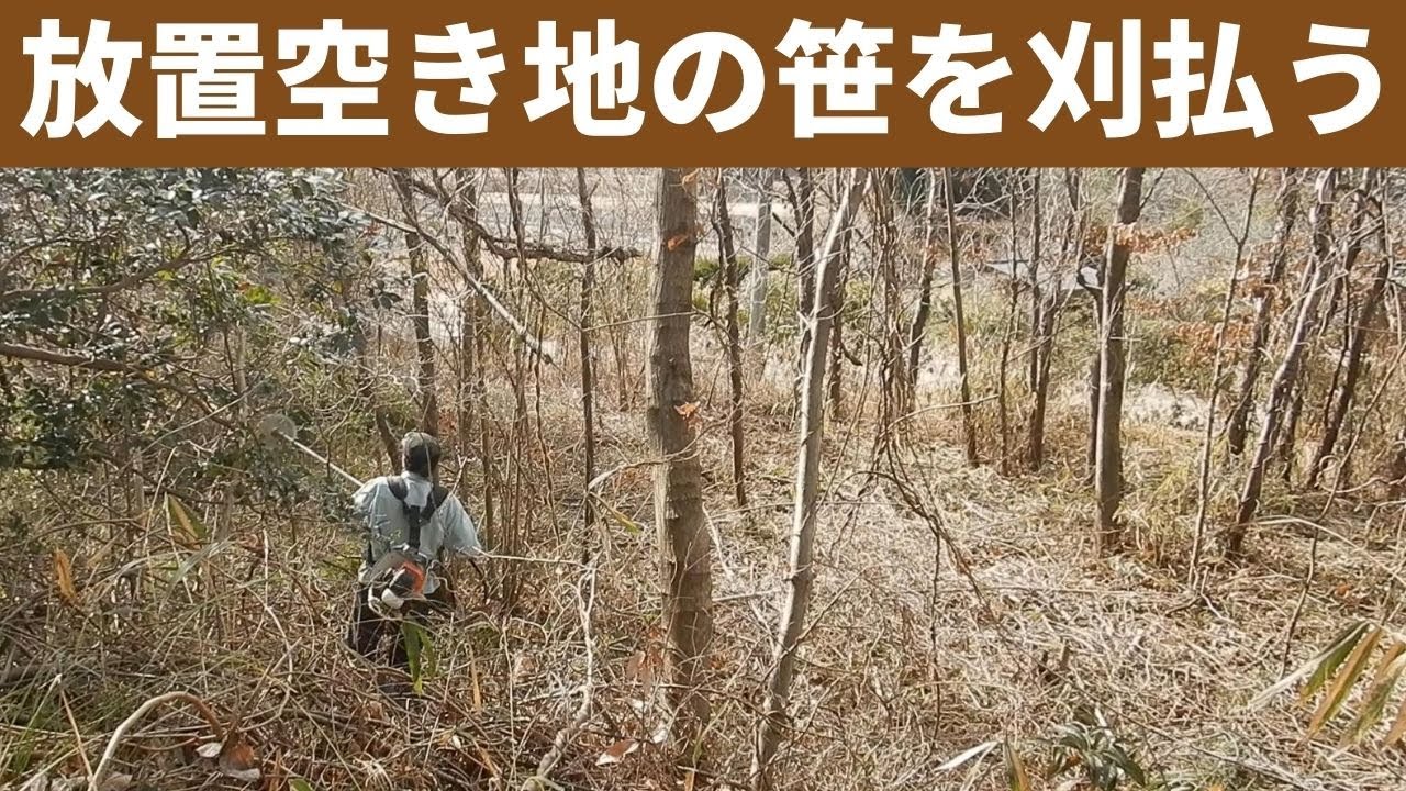436:放置空き地の藪伐開、まず笹と細木を刈払ってスペース拡げる2302 - YouTube