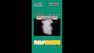 【角栓が自己崩壊】花王の角栓崩壊洗浄技術がついに進化!